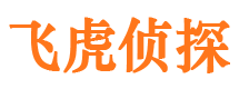 江南市侦探调查公司